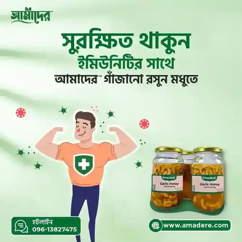 Fermented Garlic Honey: প্রাকৃতিকভাবে ইমিউন বাড়াতে রসুন-মধুর শক্তি