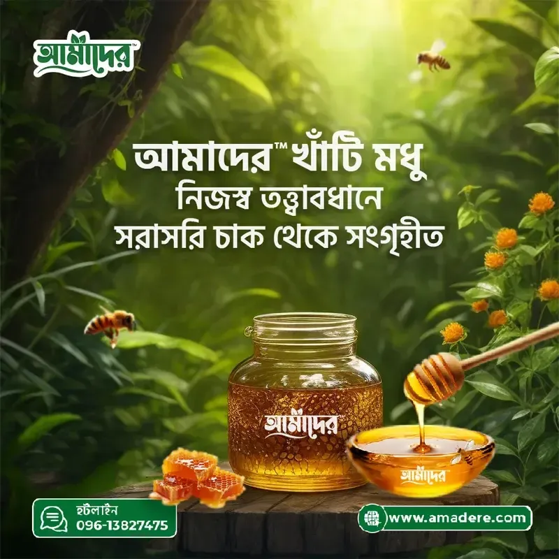 মধু খাওয়ার নিয়ম ও উপকারিতা | কখন মধু খাওয়া উচিত? | Amadere