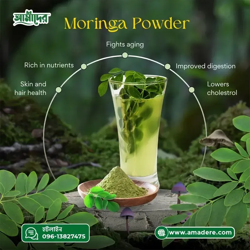 মরিঙ্গা পাউডার সম্পর্কে অজানা তথ্য – কেন Amader Moringa powder আপনার ঘরে থাকা উচিত