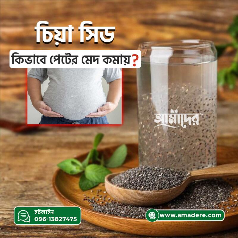 চিয়া সিড কীভাবে পেটের মেদ কমায়?