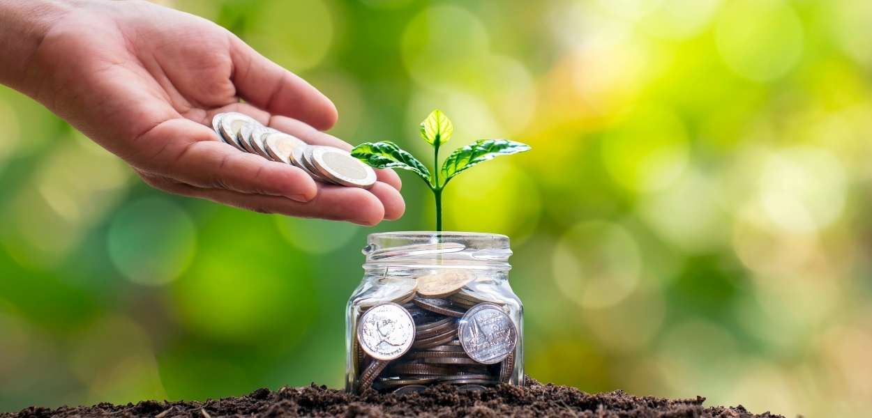 đą Investor Wanted for Amadere.com â A Chemical Free Natural Food Revolution in Bangladeshđą