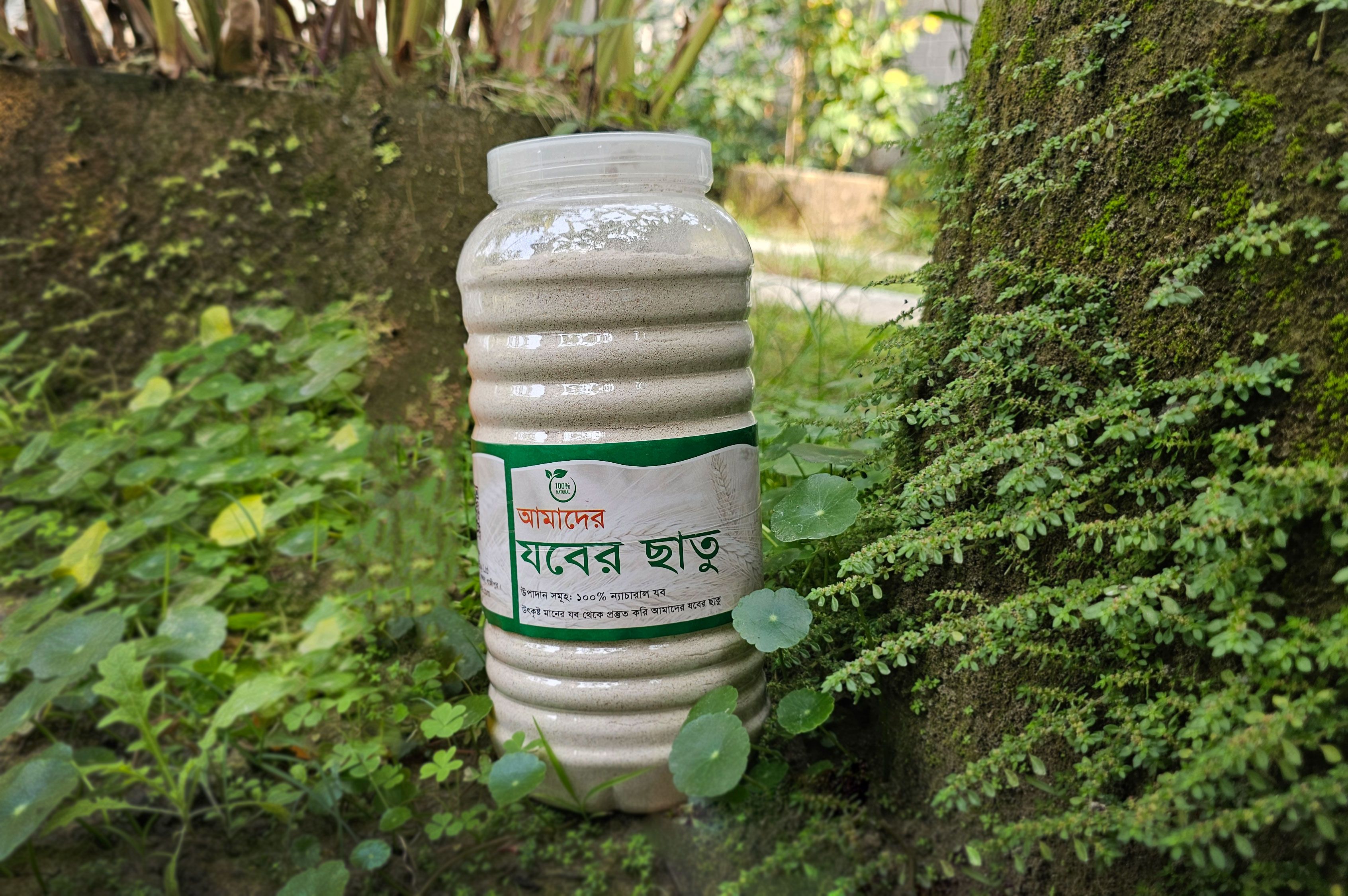 আপনি কি জানেন প্রতিদিন সকালবেলা পায়খানা ক্লিয়ার না হলে কি কি সমস্যা হতে পারে? কেন যবের ছাতু খাওয়া উচিত? Why should eat Jober Chatu (Barley Grist)